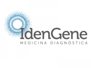 idengene